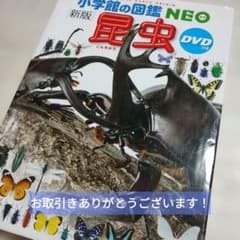 小学館の図鑑 NEO [新版] 昆虫 DVDつきのサムネイル