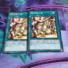 魔法族の里二枚セットのサムネイル