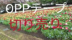fumifumi様 専用のサムネイル