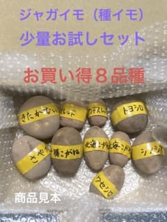 ジャガイモの種イモ８種（少量ずつお試しセット）のサムネイル