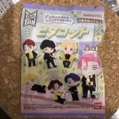 BTS  タイニータン  ピタコット　V  テテのサムネイル