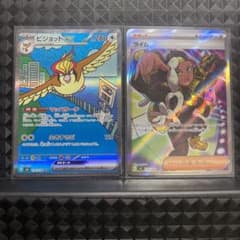 ピジョットSAR ライムSR セットのサムネイル