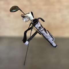 ゴルフクラブ5本セット キャディバッグ付 Callaway XXIO PING - メルカリ
