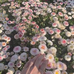 ずんちゃま様専用のサムネイル