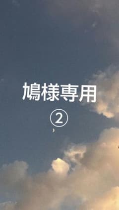 鳩様専用ページのサムネイル