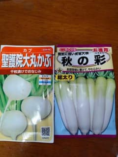 大根とかぶの種　開封　半分使用　農作業のサムネイル