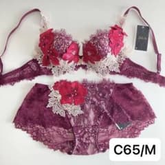 サルート 店舗限定 メキシコ C65/M WI 69 P-upブラ ヒップハング