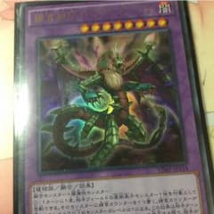 捕食植物ドラゴスタペリアのサムネイル