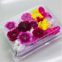 無農薬エディブルフラワー20輪のサムネイル