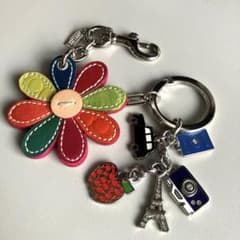 COACH キーホルダー 2点セット フラワー トラベルチャーム COACH キーホルダー 2点セット フラワー トラベルチャーム - メルカリ