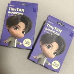 TinyTan 반소 이렇게 정국