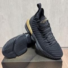 Nike LeBron 16 I'm King ナイキ レブロン 16 - メルカリ