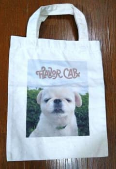 おもちくん トートバッグ 犬 ペキチワのサムネイル
