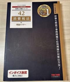 2025年度版 42 消費税法 理論ドクターのサムネイル