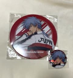 新テニスの王子様 テニフェス 2023 デコガチャ 缶バッジマグネット