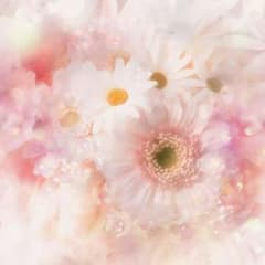 ゆめるかさん専用のサムネイル