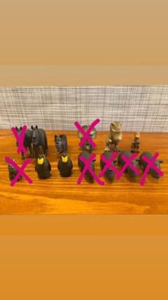 世界遺産様　専用　シャクレルプラネット　2体のサムネイル