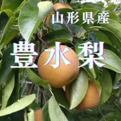 豊水梨 15〜18個入 No.28のサムネイル