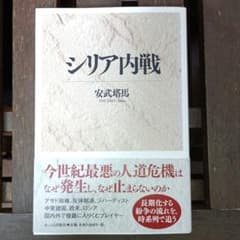 시리아 내전 안부 탑마
