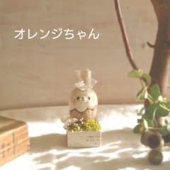 オレンジちゃんページのサムネイル