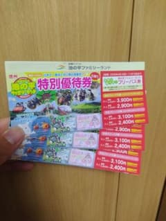 池の平ファミリーランド 特別優待券 割引券 3セットのサムネイル