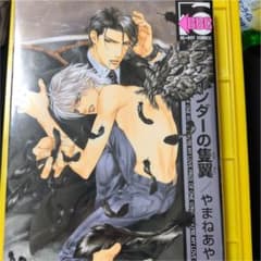 ファインダーの隻翼のサムネイル