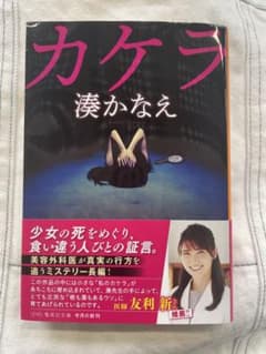 カケラ/湊かなえのサムネイル