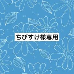 ちびすけ様専用ページのサムネイル