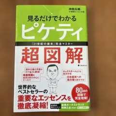 見るだけでわかるピケティ超図解のサムネイル
