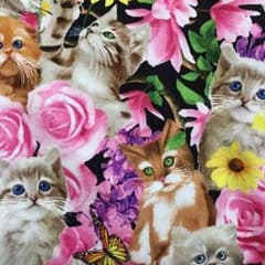 生地確認のサムネイル