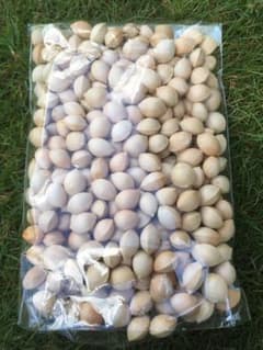 銀杏 無農薬無漂白 300g ラスト残り2袋です！のサムネイル
