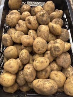 新鮮な土付きじゃがいも4キロ　おまけ付き！のサムネイル