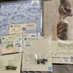 こ*ん様 一番くじ 爬虫類＆両生類 Tiny Friends vol.3 3点セのサムネイル