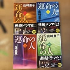 運命の人 1 2 3 4 全4冊のサムネイル