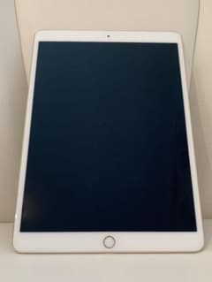 iPad pro 10.5インチ 256GBのサムネイル