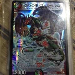ヴィルヘルム１枚カズさん専用のサムネイル