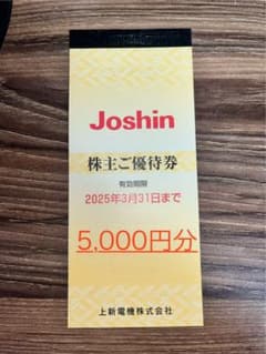 上新電機株主優待　5000円分のサムネイル