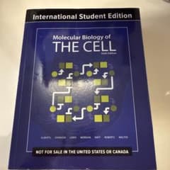 Molecular Biology of THE CELL 第6版 国際学生版のサムネイル