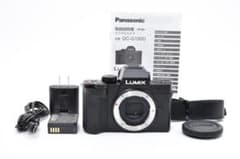 PANASONIC LUMIX DC-G100D ボディ 0214 PANASONIC LUMIX DC-G100D ボディ 0214 - メルカリ