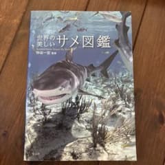 世界の美しいサメ図鑑のサムネイル