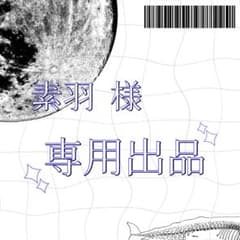 素羽様 専用出品のサムネイル