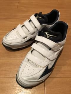 ミズノ 野球 トレーニングシューズ 28.0cmのサムネイル