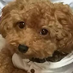 リホット様専用のサムネイル