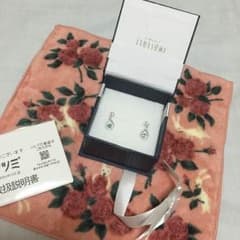ツツミピアスのサムネイル