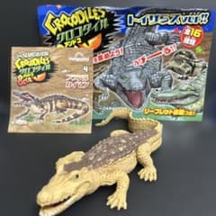 クロコダイルアンドコ ブラジルカイマン - メルカリ