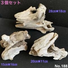 アク抜き済み流木 No.188 白系 3個セット - メルカリ