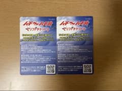 ハチ高原スキー場ハチ北高原スキー場共通 大人平日用リフト券2枚のサムネイル