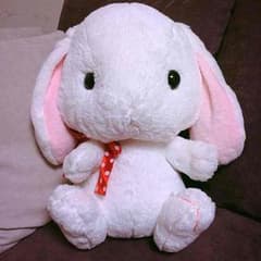 うさ♡ 様   お取り置きのサムネイル