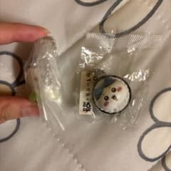ちいかわ くら寿司 たべものいっぱいマスコットハチワレ2個セットのサムネイル