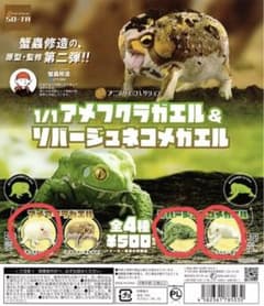 アメフクラガエル&リバージュネコメガエル　　ガチャ(新品)のサムネイル